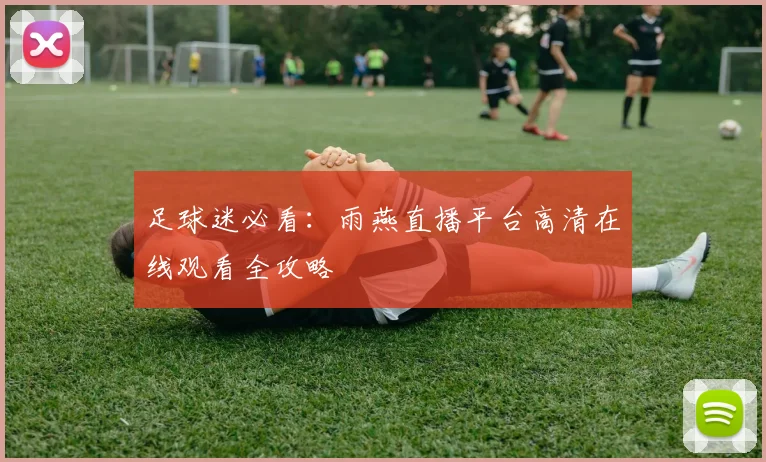 足球迷必看：雨燕直播平台高清在线观看全攻略