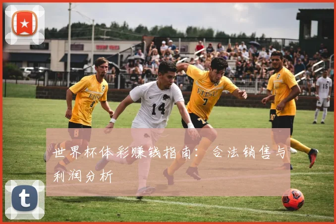 世界杯体彩赚钱指南:合法销售与利润分析