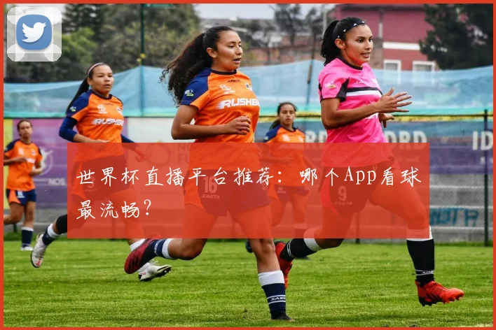 世界杯直播平台推荐:哪个App看球最流畅?