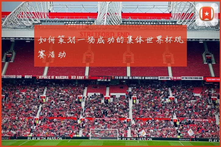 如何策划一场成功的集体世界杯观赛活动